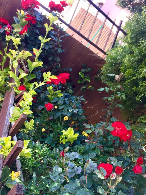 B&B Limone Сан Леоне Екстериор снимка